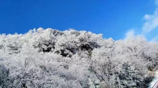 美图秀秀下载2023最新版