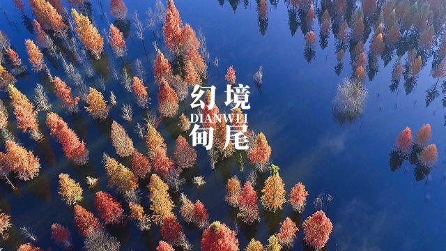 【两会·黔讯】省政协委员陆续报到 贵州进入两会时间