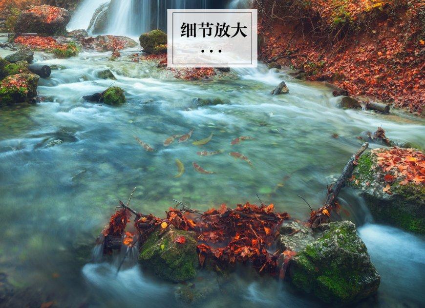 传统皇后救援