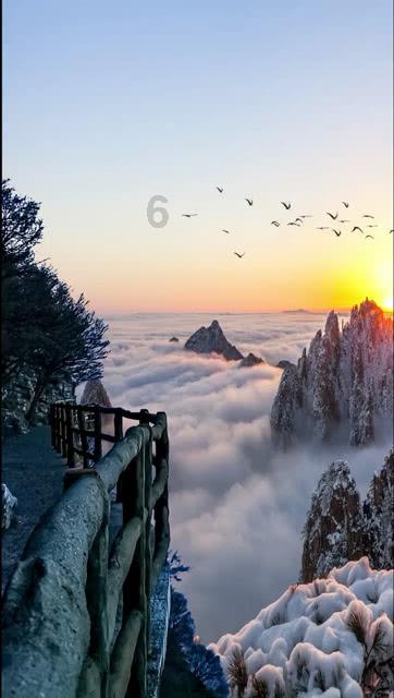 杨振宁的年龄是多少游戏画面